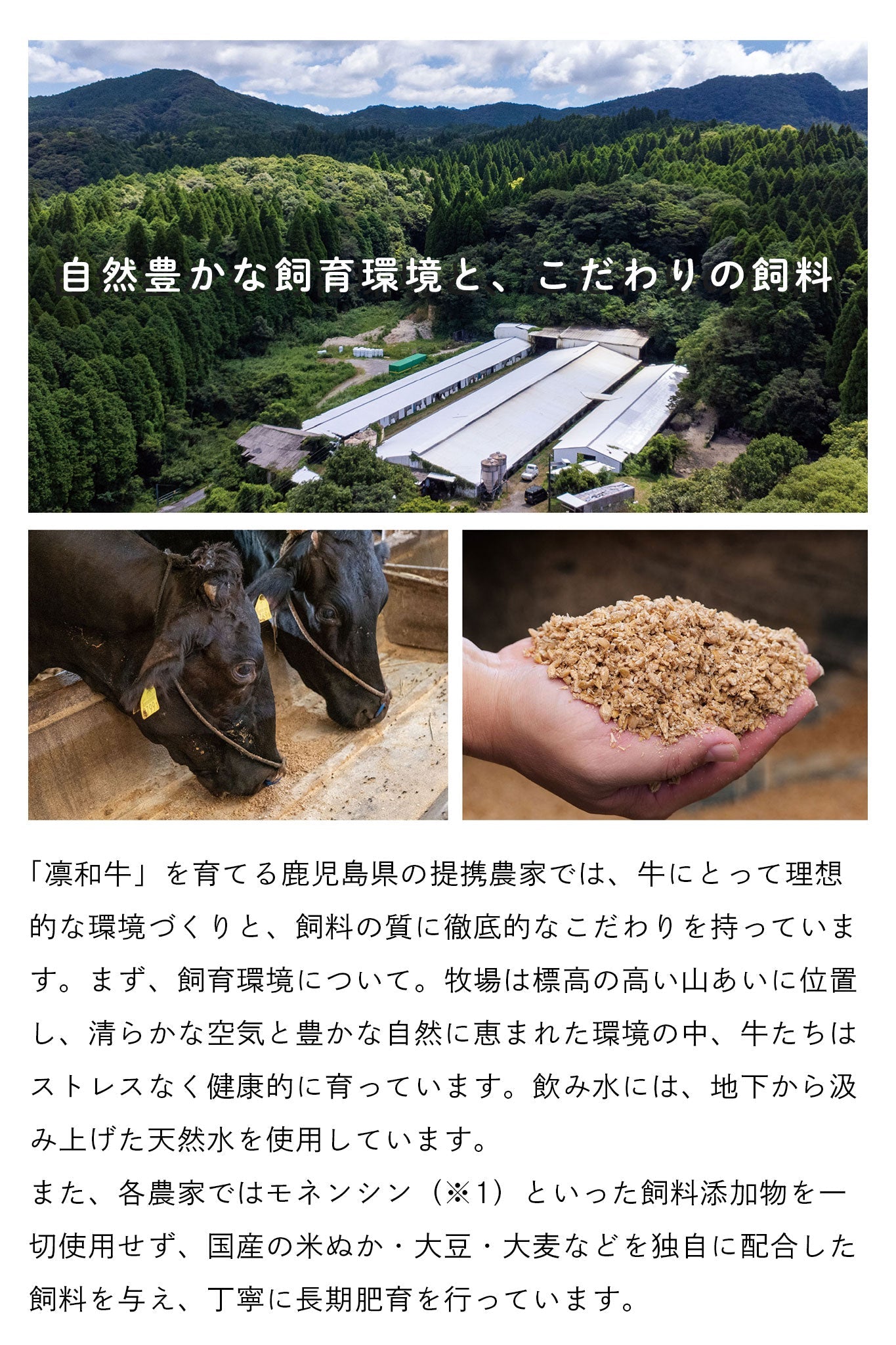 凛和牛すき焼きしゃぶしゃぶセット - 贅沢な肉の味わい – 凛和牛